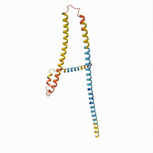 Titin protein rotating